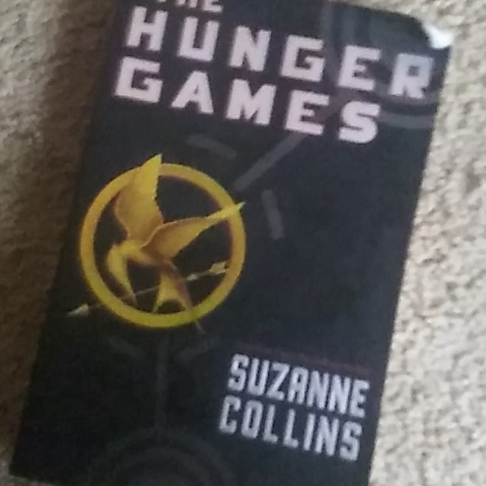 A book about the hunger games